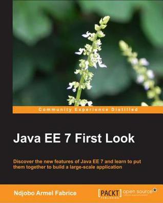 Java EE 7 First Look